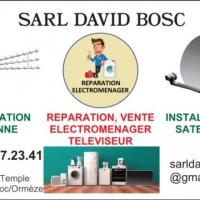 Bosc David